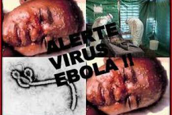 چراجهان در برابر ابولا منفعل است؟