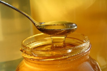 باکتری اسید لاکتیک در عسل تازه جایگزینی برای آنتی‌بیوتیک‌ها