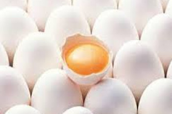 میدانید چرا نمیتوانید تخم مرغ را از سبد غذاییتان خارج کنید؟؟!!
