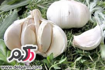 یک سیر وهزار فایده!!