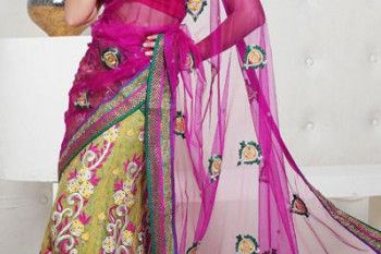لباس هندی -2013 - گروه چهارم