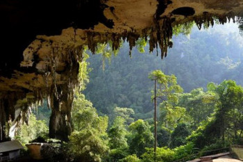 10 غار زیبا و تماشایی در مالزی