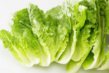 خواص کاهو،چه میزان با خواص کاهو و مضرات کاهو آشنایی دارید؟