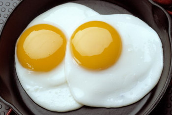 بررسی فواید و مضرات سفیده تخم مرغ و زرده تخم مرغ،کدام بهتر است؟
