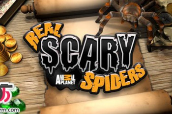 دانلود بازی Real Scary Spiders v1.1.3 برای اندروید