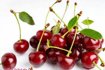آلبالو و منع آن برای بعضی از بیماران