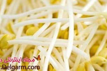 خاصیت جوانه ماش و خواص بینظیر جوانه ماش