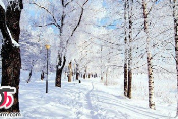 نکات طلایی جهت مسافرت در زمستان