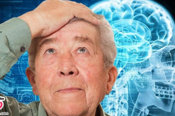 راهکارهای ساده و موثر برای جلوگیری از پیری مغز