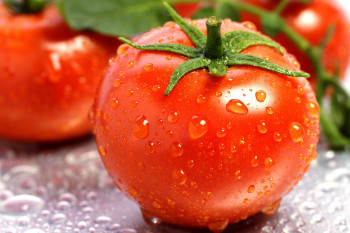 خواص گوجه فرنگی قبل از خواب