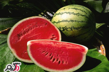 چطو هندوانه رسیده و خوب را جدا کنیم؟!