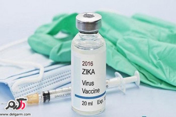 زیکا : واکسن مراقبت از حیوانات