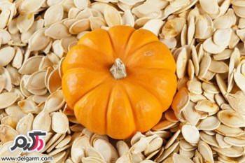 خواص و فواید بی نظیر تخمه کدو