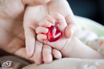 علت اکوکاردیوگرافی قلب جنین در دوران بارداری چیست؟