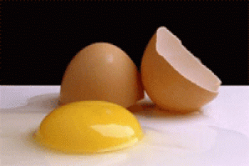 درمان کم خونی با تخم مرغ و آب پرتقال
