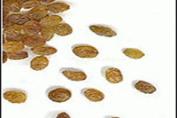 خواص درمانی کشمش 