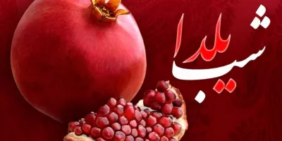 پرداخت دولت برای شب