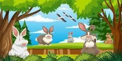 داستان کودکانه کوتاه خرگوش سفید و خال خالی + دانلود قصه صوتی