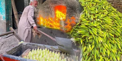 پیرمرد ۷۰ ساله پاکستانی که ذرت را در شن میپزد!