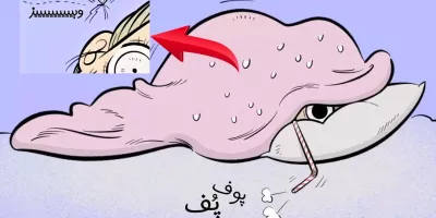 وقتی شبا پشه می بینم به روایت تصویر!