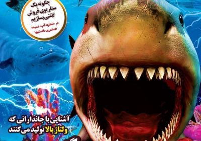 مجله همشهری دانستنیها - یکشنبه, ۰۸ دی ۱۳۹۸