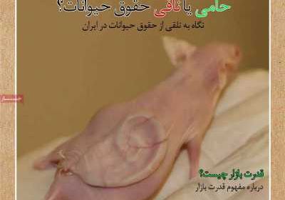 مجله سرند - دوشنبه, ۳۱ مرداد ۱۴۰۱