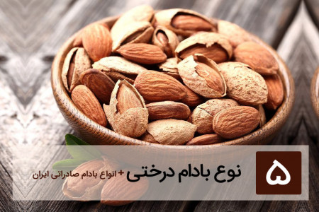 آشنایی با خواص بادام درختی و انواع آنها + عکس