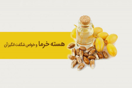 خواص هسته خرما : آشنایی با خواص اعجاب انگیز هسته خرما در طب سنتی
