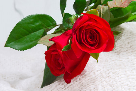 عکس نوشته های تبریک روز معلم + روز معلم مبارک باد