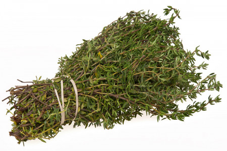 خاصیت آویشن ( thyme plant) برای سلامتی