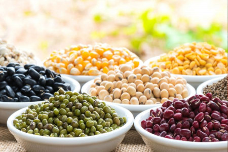 اندازه گیری پروتئین حبوبات با معرف رنگی