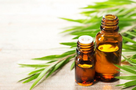 روغن درخت چای چه مشکلاتی را بر طرف میکند؟