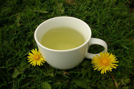 خواص چای قاصدک + طرز تهیه دمنوش گل و ریشه قاصدک