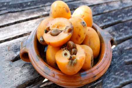 اثرات درمانی ازگیل در طب سنتی
