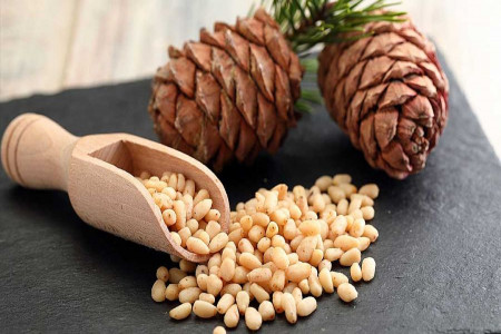 آموزش کاشت، مراقبت و نگهداری از چلغوز