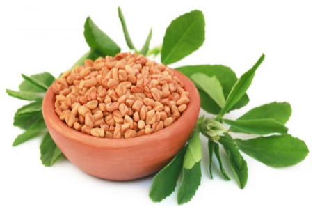 خواص دانه شنبلیله برای مو