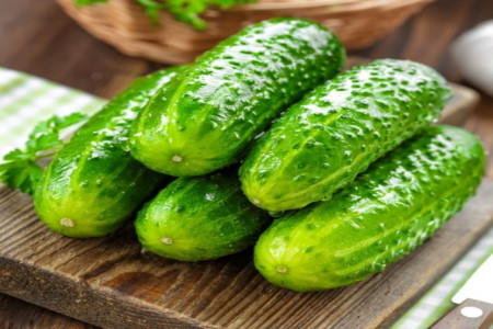 تفاوت خیارهای گلخانه ای و جالیزی چیست؟