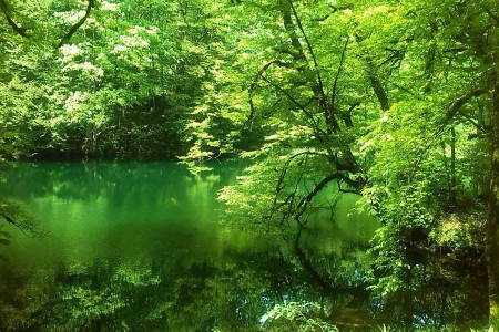 دریاچه فراخین؛ قطعهای جامانده از بهشت