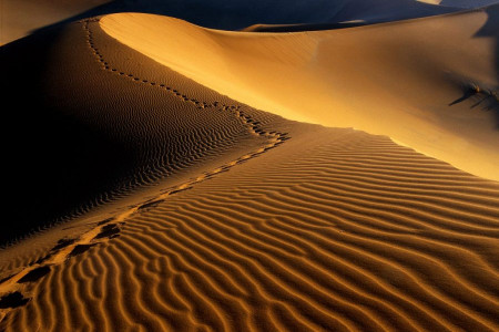 کویر مرنجاب؛ سفری به پهنای شن و ماسه