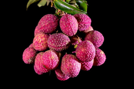 خواص شگفت انگیز میوه لیچی Lychee