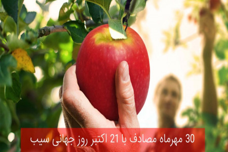 ۳۰ مهرماه مصادف با ۲۱ اکتبر روز جهانی سیب