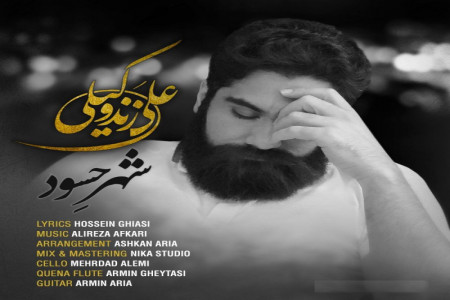 متن آهنگ شهر حسود از علی زند وکیلی (شعر از حسین قیاسی)