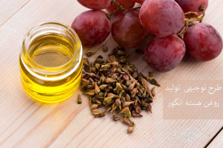 آشنایی با طرح توجیهی روغن هسته انگور