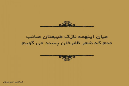 17 شعر گلچین شده از اشعار صائب تبریزی