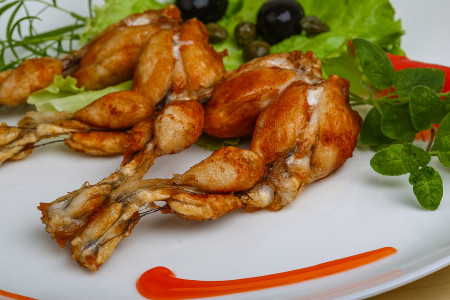 آیا تابحال گوشت قورباغه خورده اید ؟