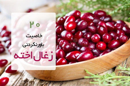 20 خاصیت معجزه آسای زغال اخته برای درمان بیماری ها