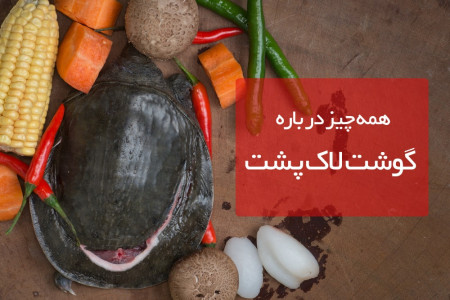 آیا گوشت لاک پشت فایده ای هم دارد؟