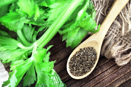 20 خاصیت شگفت انگیز تخم کرفس