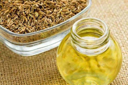 گیاه دارویی زنیان