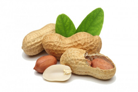 مزایای مصرف پودر پروتئین بادام زمینی